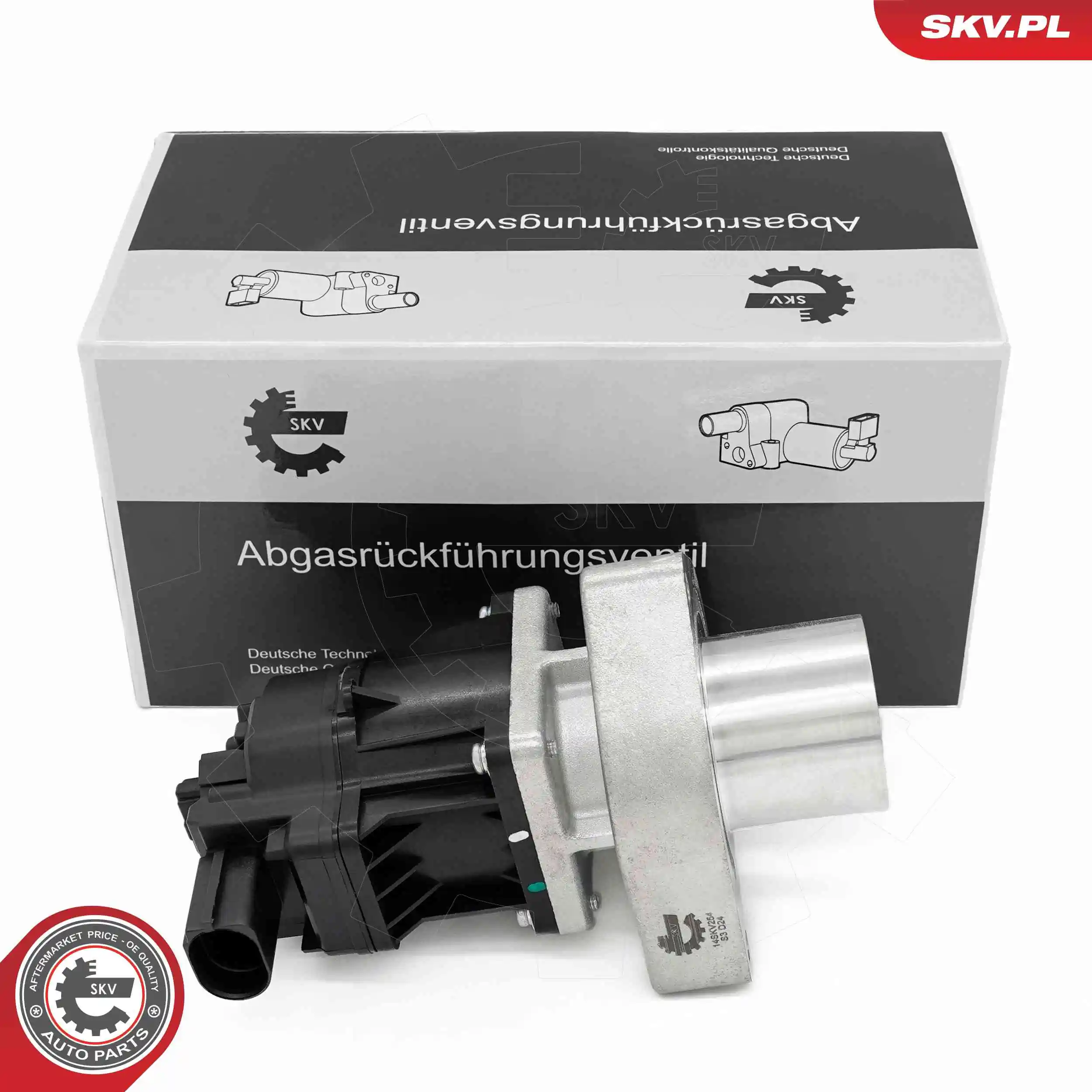 EGR Valve